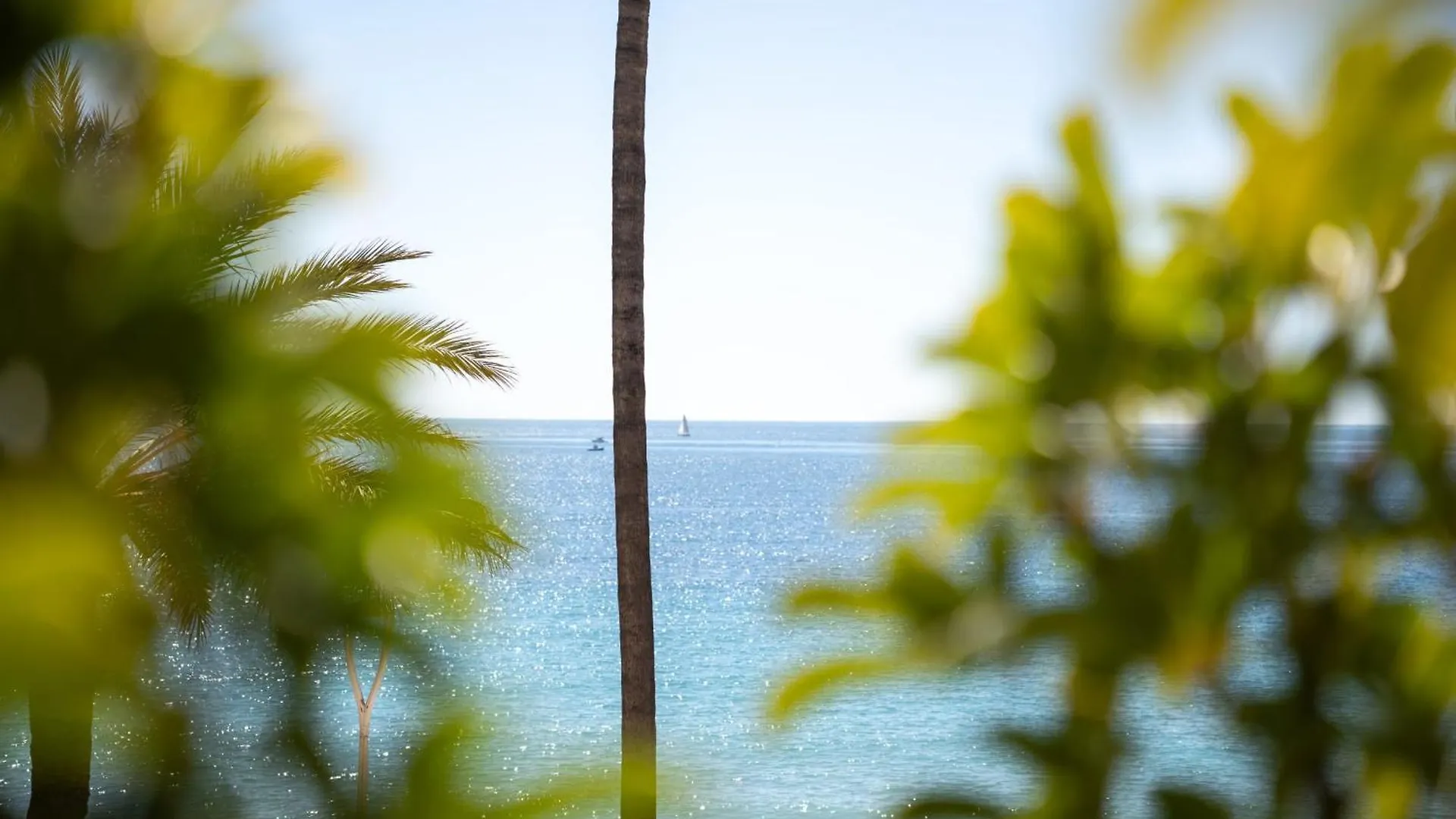 Apartment Luxueux Appartement Avec Jardin Suspendu Vue Mer 10 Min Du Palais Cannes